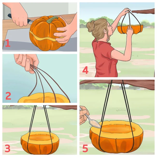 Кормушка для птиц из тыквы